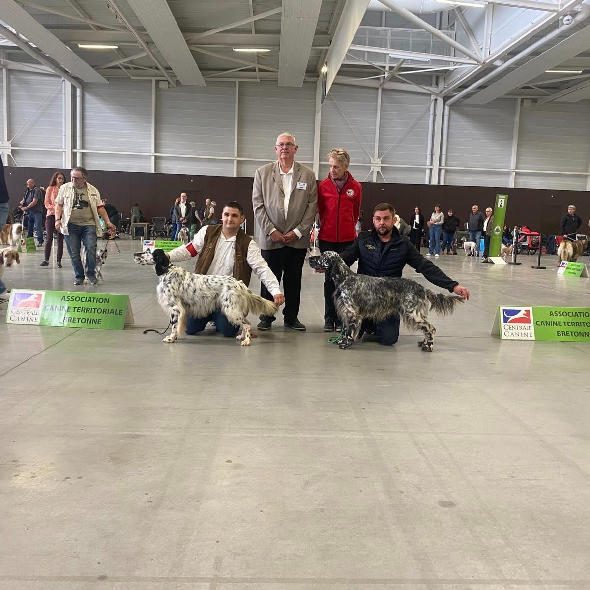 Spécial de race Saint Brieuc